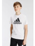 ADIDAS SPORTSWEAR Funkčné tričko 'Essentials' antracitová / šedobiela - Pepit.sk