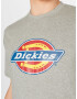 DICKIES Tričko 'Icon Logo' kráľovská modrá / limetková / sivá melírovaná / ohnivo červená / biela - Pepit.sk