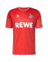 Hummel Dres 'FC Köln 23-24 Auswärts' modrá / zelená / červená / biela - Pepit.sk