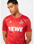 Hummel Dres 'FC Köln 23-24 Auswärts' modrá / zelená / červená / biela - Pepit.sk