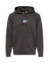 LEVI'S Mikina 'STANDARD GRAPHIC HOODIE MULTI-COLOR' azúrová / svetločervená / čierna / biela - Pepit.sk