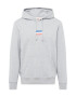 LEVI'S Mikina 'STANDARD GRAPHIC HOODIE MULTI-COLOR' modrá / sivá melírovaná / červená / biela - Pepit.sk