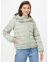 LEVI'S Prechodná bunda 'EDIE PACKABLE JACKET NEUTRALS' svetlozelená - Pepit.sk