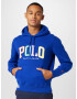 Polo Ralph Lauren Mikina kráľovská modrá / žltá / fialová / biela - Pepit.sk