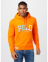 Polo Ralph Lauren Mikina zelená / fialová / oranžová / biela - Pepit.sk