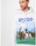 Polo Ralph Lauren Mikina modrá / hnedá / zelená / biela - Pepit.sk