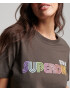 Superdry Tričko 'Vintage Retro Rainbow' hnedá - Pepit.sk