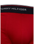 Tommy Hilfiger Underwear Boxerky kráľovská modrá / tmavozelená / ohnivo červená / čierna - Pepit.sk