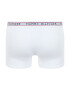 Tommy Hilfiger Underwear Boxerky námornícka modrá / červená / biela - Pepit.sk