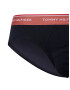 Tommy Hilfiger Underwear Nohavičky námornícka modrá / kráľovská modrá / nebesky modrá / broskyňová - Pepit.sk