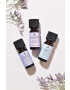 Aroma Home Sada esenciálnych olejov Favourites Essential Oil Blends 3-pak - Pepit.sk