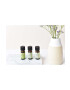 Aroma Home Sada esenciálnych olejov Home Detox Essential Oil Blends 3-pak - Pepit.sk