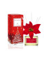 Cocodor Aroma difuzér Joyful Season 200 ml - Pepit.sk