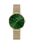 Daniel Wellington Hodinky Petite Emerald 32 dámske zlatá farba - Pepit.sk