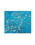 MuseArta Uterák Vincent van Gogh - Almond Blossom - Pepit.sk