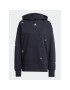 adidas Mikina Relaxed Hoodie with Healing Crystals-Inspired Graphics IC0803 Čierna Loose Fit - Pepit.sk