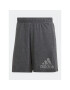 adidas Športové kraťasy Future Icons Winners HZ6286 Sivá Loose Fit - Pepit.sk