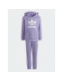 adidas Tepláková súprava Adicolor Hoodie Set IC9170 Fialová Regular Fit - Pepit.sk