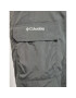 Columbia Outdoorové nohavice Silver Ringe II Cargo XO0661 Sivá Regular Fit - Pepit.sk