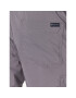 Columbia Športové kraťasy Silver Ridge™ 2030744 Sivá Regular Fit - Pepit.sk