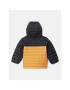 Columbia Vatovaná bunda Powder Lite™ Boys Hooded Jacket Žltá Regular Fit - Pepit.sk