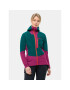 Jack Wolfskin Softshellová bunda Alpspitze Hoody 1307751 Zelená Regular Fit - Pepit.sk