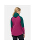 Jack Wolfskin Softshellová bunda Alpspitze Hoody 1307751 Zelená Regular Fit - Pepit.sk