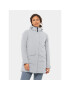 Jack Wolfskin Zimné bundy Tempelhof Coat 1116151 Sivá Regular Fit - Pepit.sk