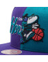 Mitchell & Ness Šiltovka NBA Split Crown HHSS4321 Fialová - Pepit.sk