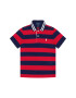 Polo Ralph Lauren Polokošeľa 323793534001 Farebná Regular Fit - Pepit.sk