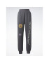 Reebok Teplákové nohavice Classics Graphic Joggers HS4264 Sivá Regular Fit - Pepit.sk