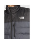 The North Face Vesta Aconcagua NF0A4R2F Sivá Regular Fit - Pepit.sk