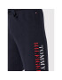 Tommy Hilfiger Športové kraťasy UM0UM02568 Tmavomodrá Regular Fit - Pepit.sk