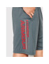 Under Armour Športové kraťasy Tech™ Wordmark 1370400 Sivá Loose Fit - Pepit.sk