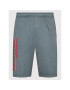 Under Armour Športové kraťasy Tech™ Wordmark 1370400 Sivá Loose Fit - Pepit.sk