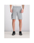 Under Armour Športové kraťasy UA Sportstyle Cotton Graphic 1329300 Sivá Regular Fit - Pepit.sk