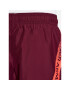 Under Armour Športové kraťasy Ua Woven Graphic Shorts 1370388 Bordová Loose Fit - Pepit.sk