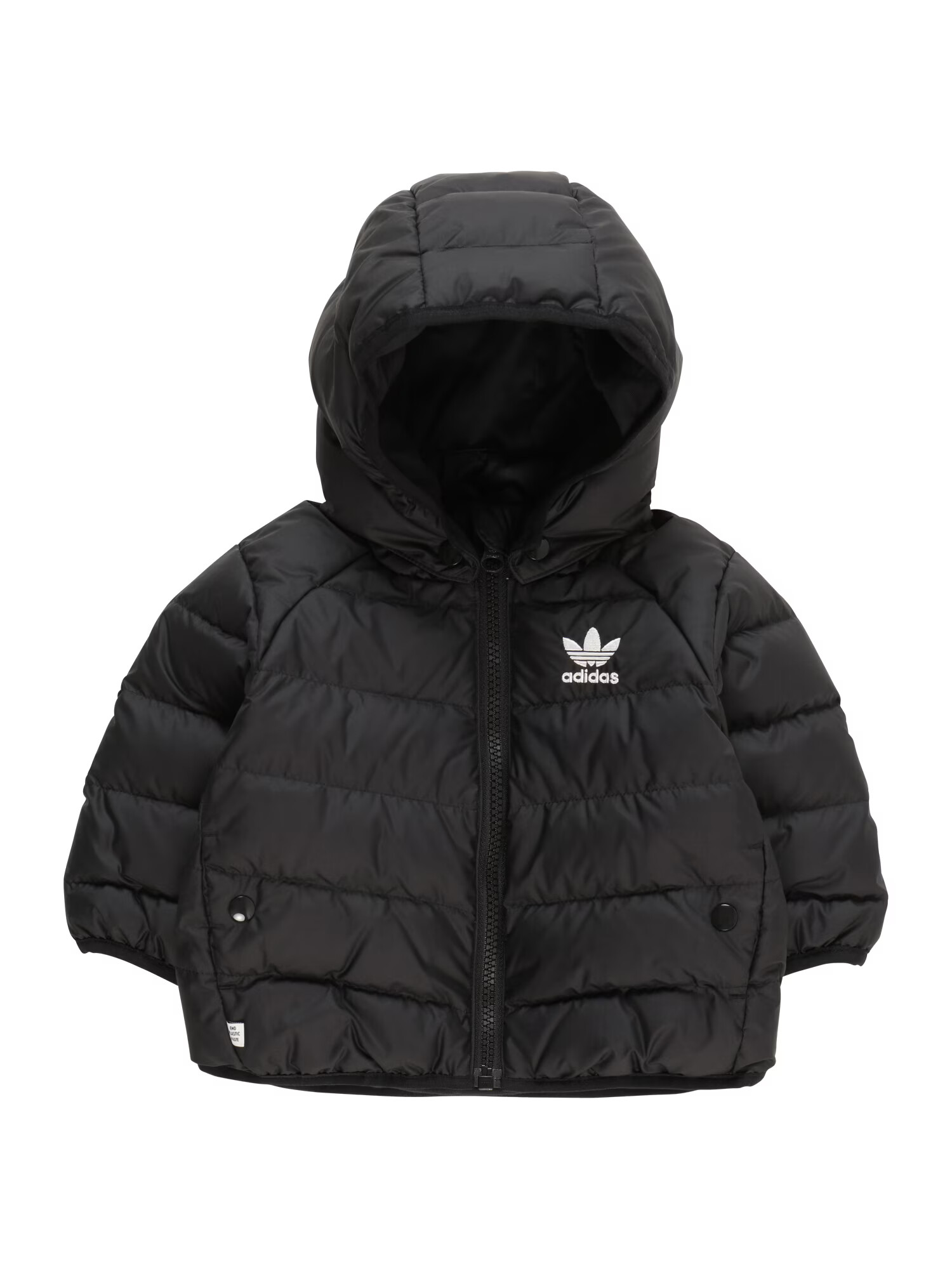 ADIDAS ORIGINALS Zimná bunda 'Adicolor Down' čierna / biela - Pepit.sk