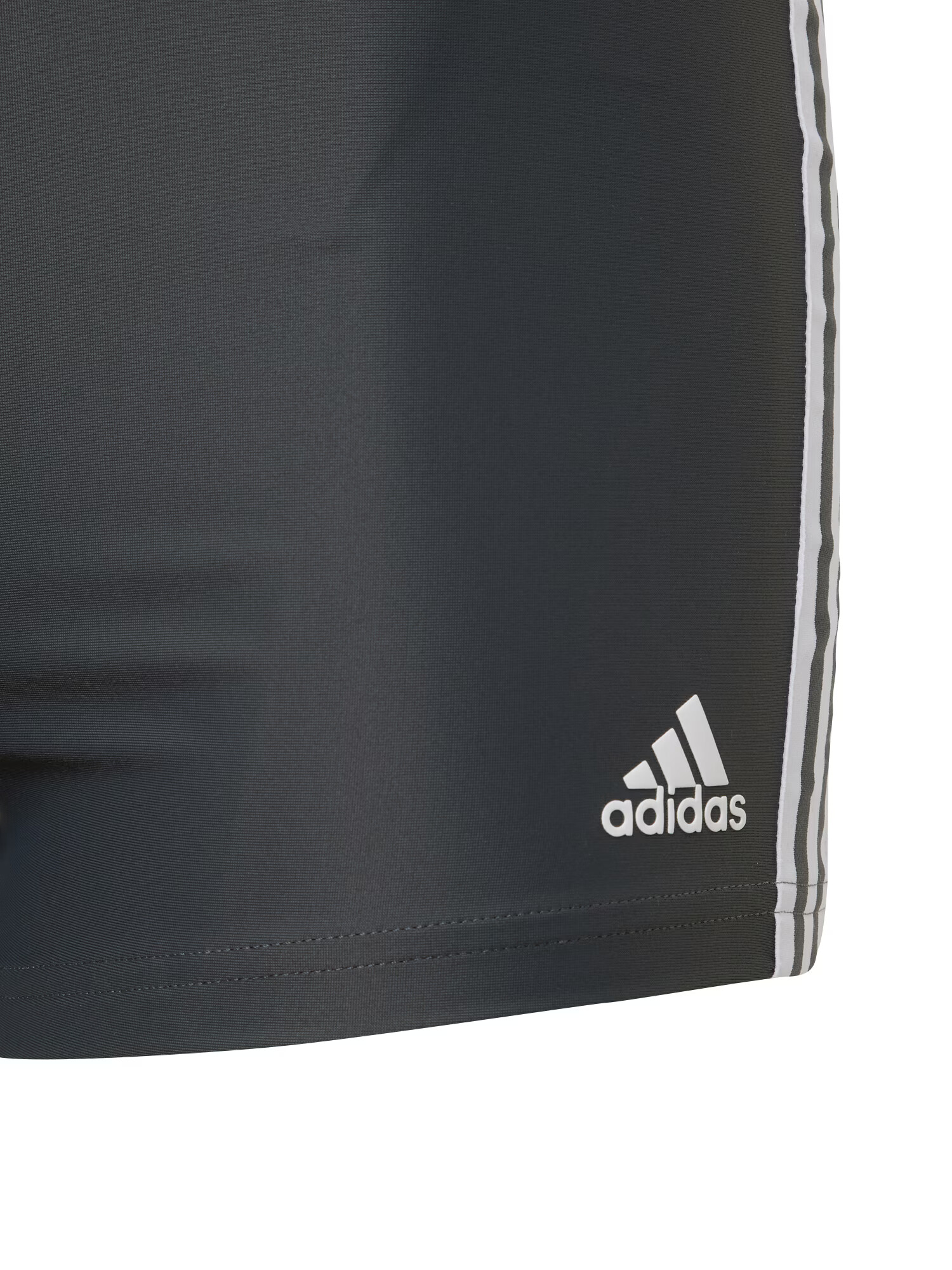 ADIDAS PERFORMANCE Športové plavky - spodný diel tmavosivá / biela - Pepit.sk