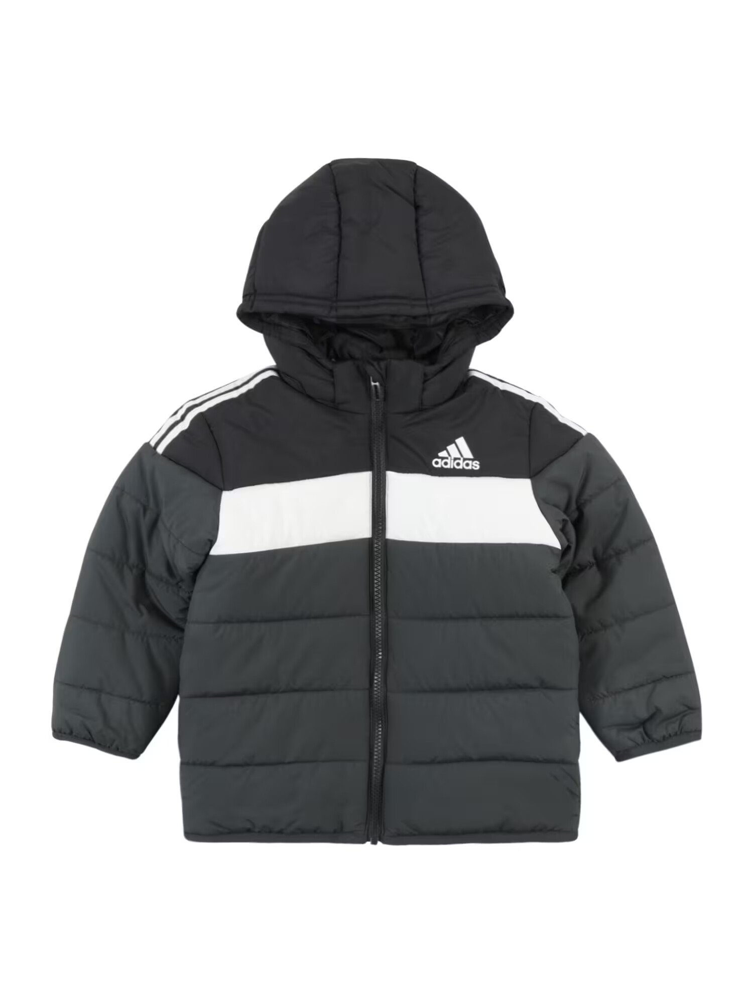 ADIDAS SPORTSWEAR Športová bunda 'Padded' antracitová / čierna / biela - Pepit.sk