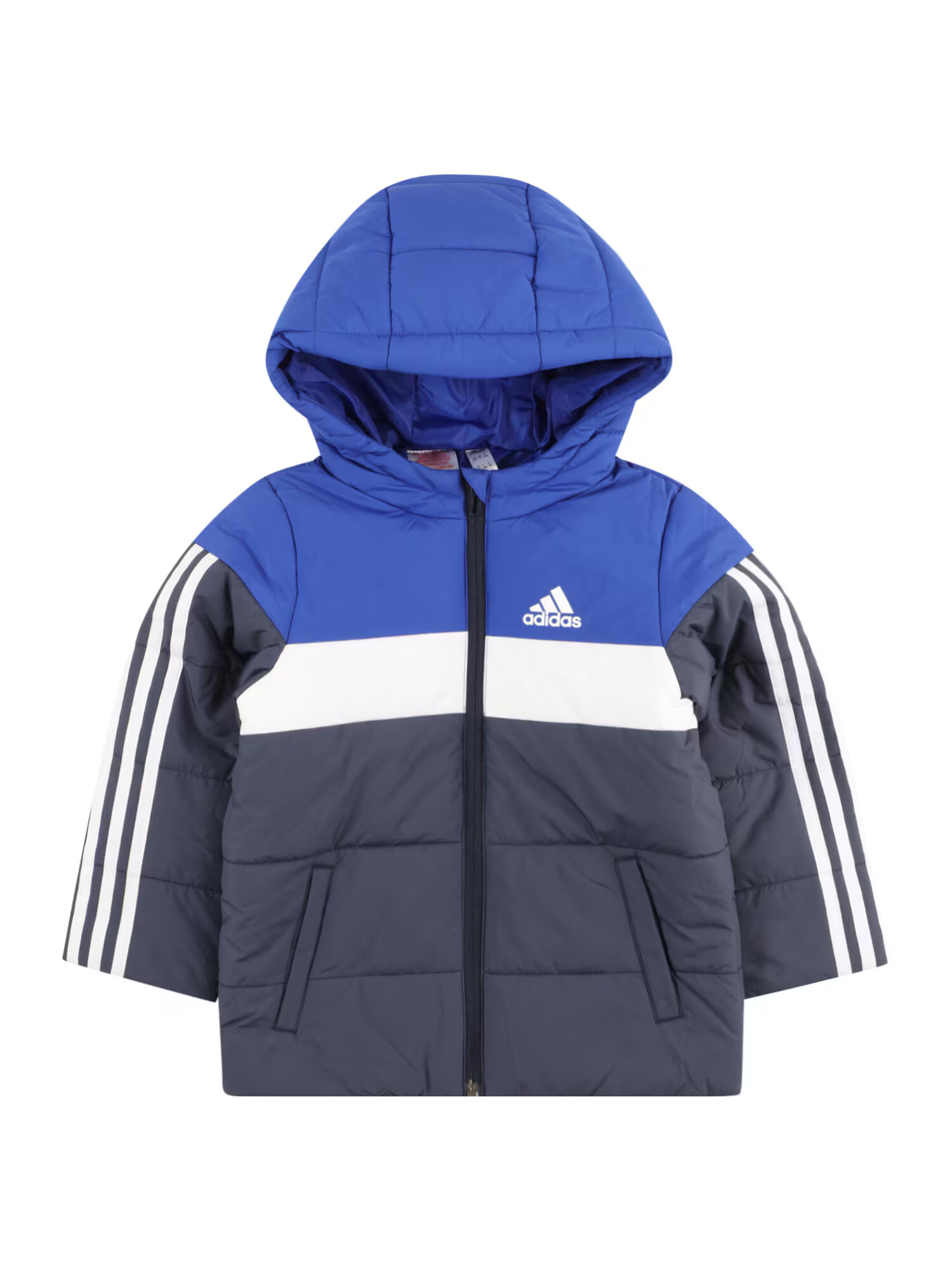 ADIDAS SPORTSWEAR Športová bunda 'Padded' modrá / námornícka modrá / biela - Pepit.sk