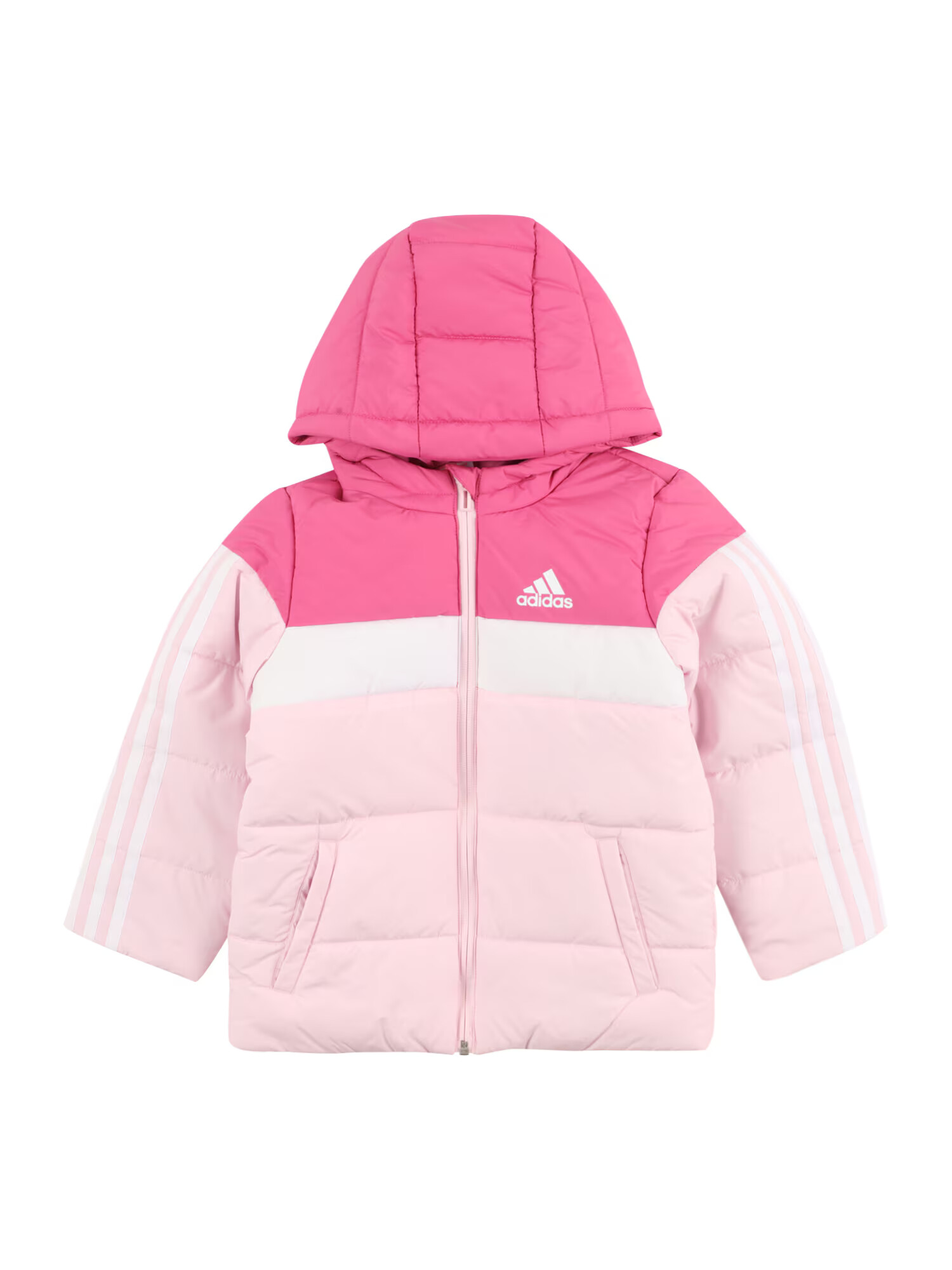 ADIDAS SPORTSWEAR Športová bunda 'Padded' ružová / ružová / biela - Pepit.sk