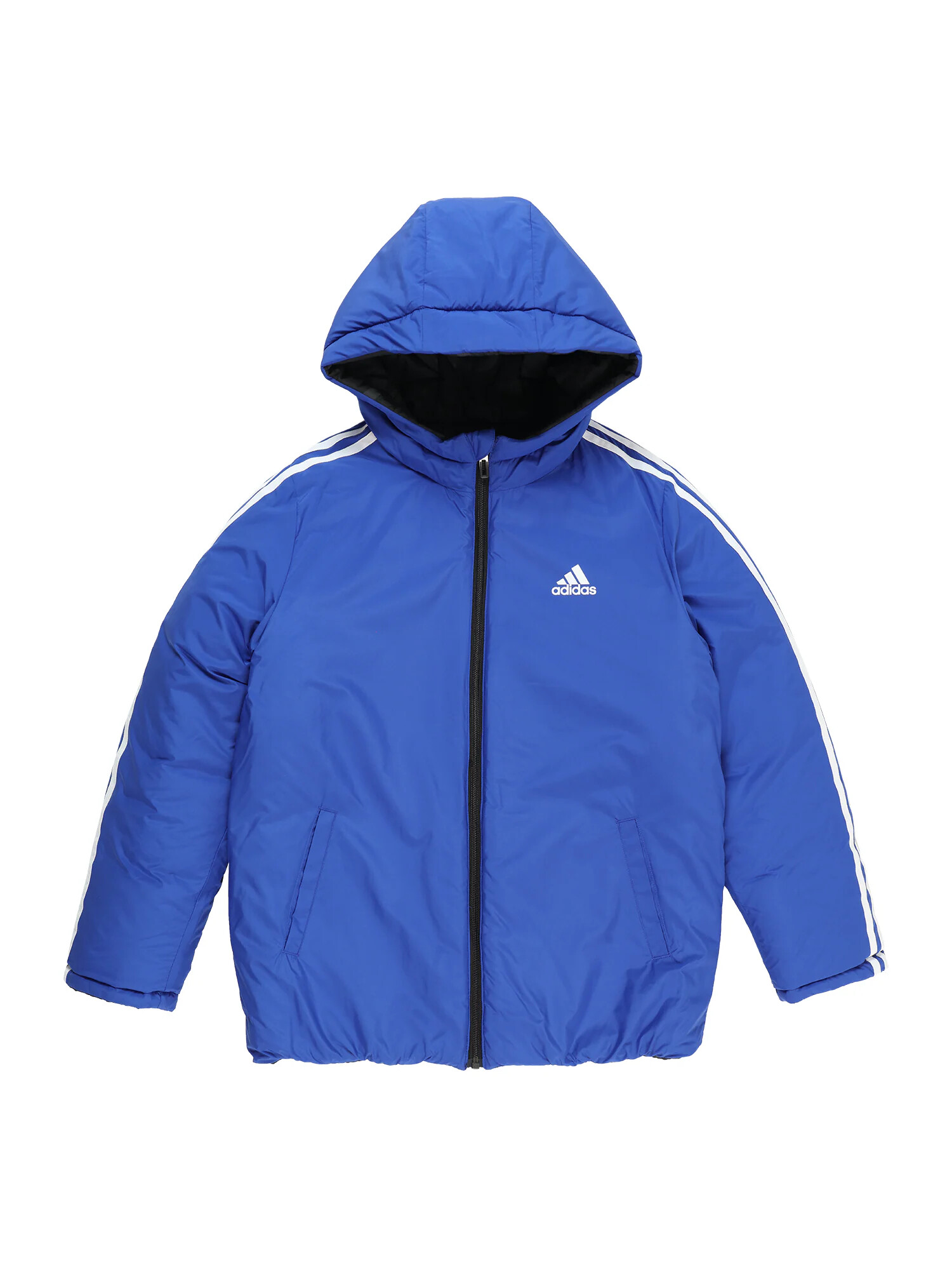 ADIDAS SPORTSWEAR Športová bunda sivá / čierna / biela - Pepit.sk