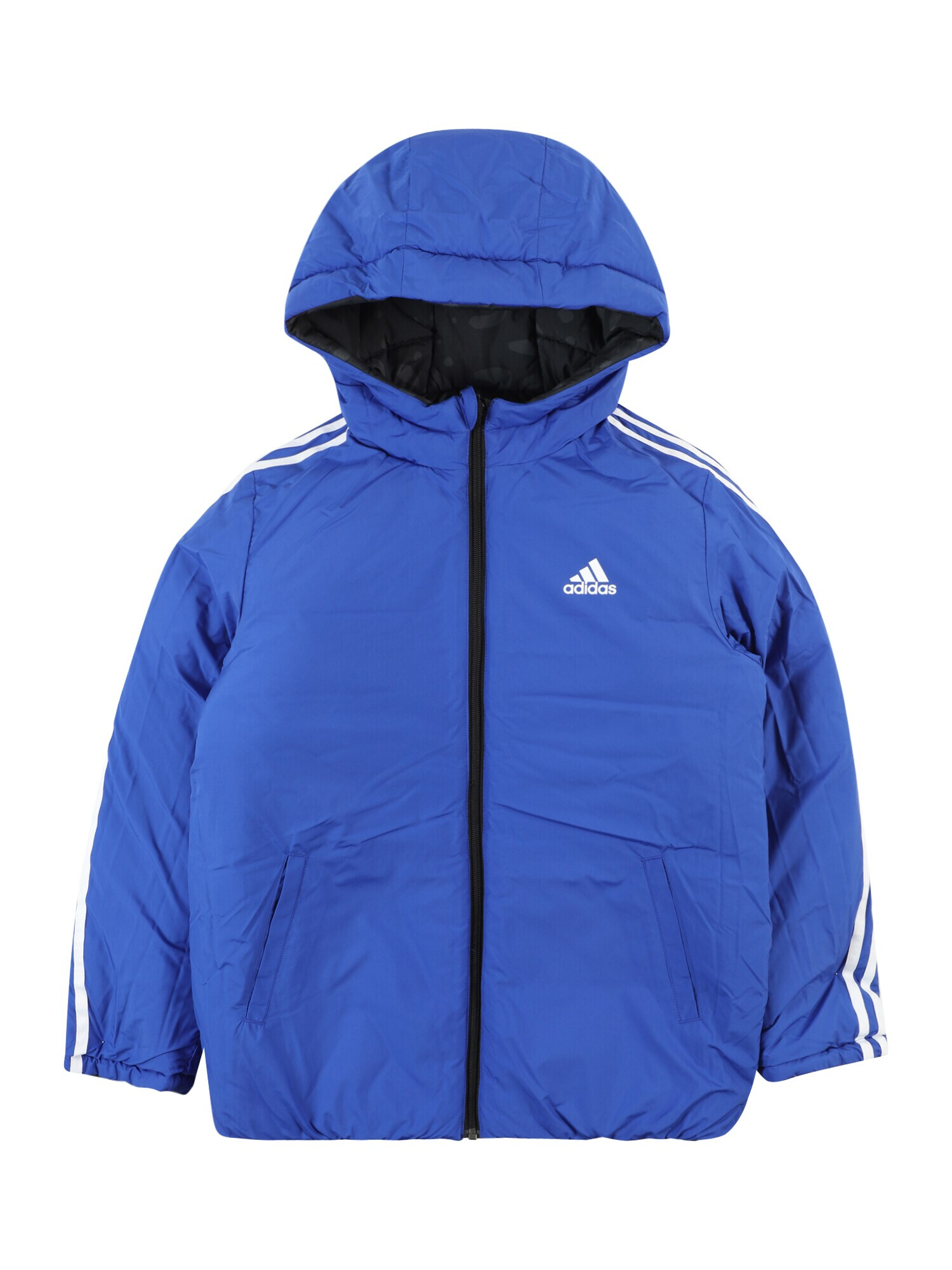 ADIDAS SPORTSWEAR Športová bunda sivá / čierna / biela - Pepit.sk