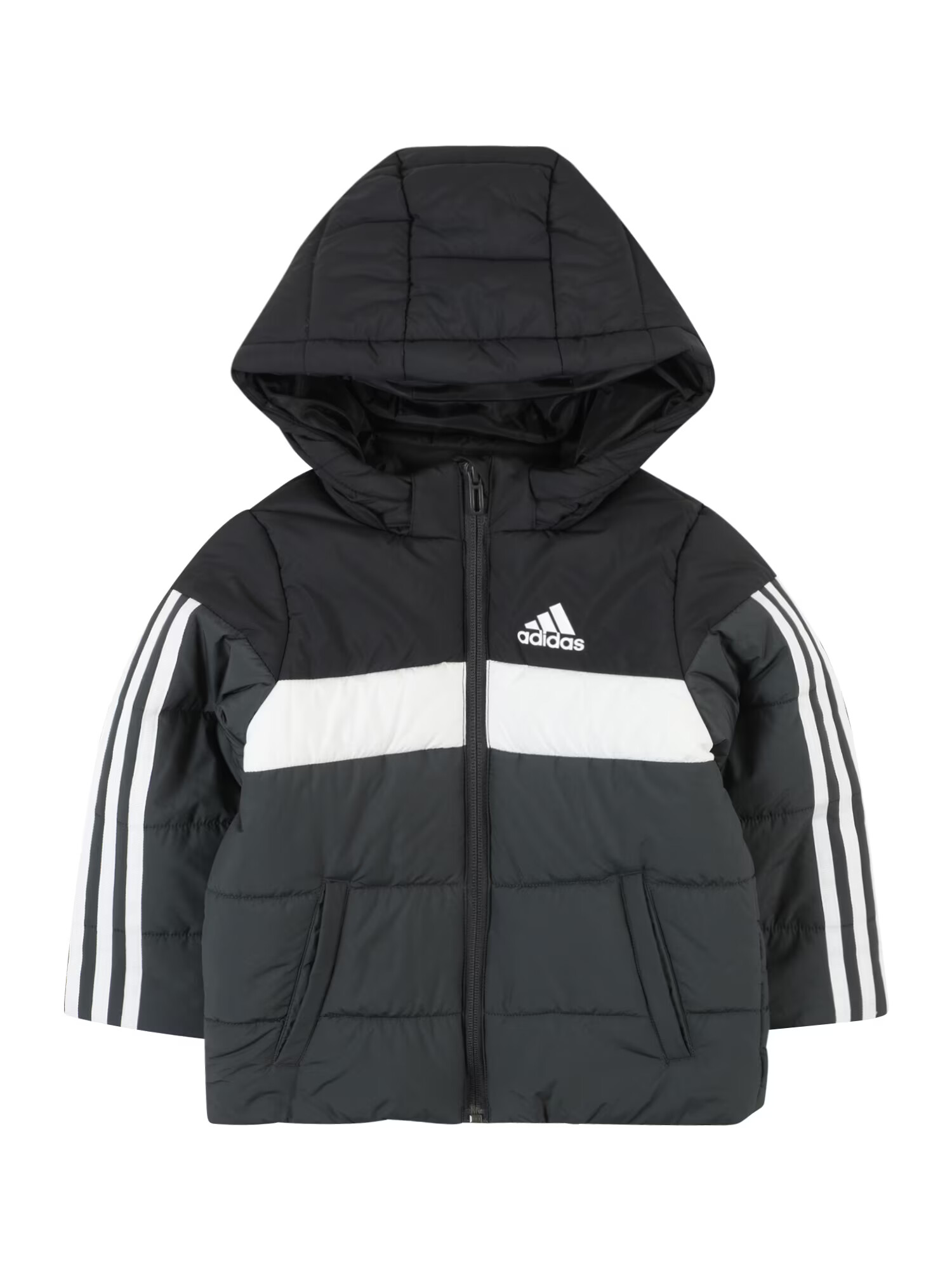 ADIDAS SPORTSWEAR Športová bunda 'Padded' tmavosivá / čierna / šedobiela - Pepit.sk