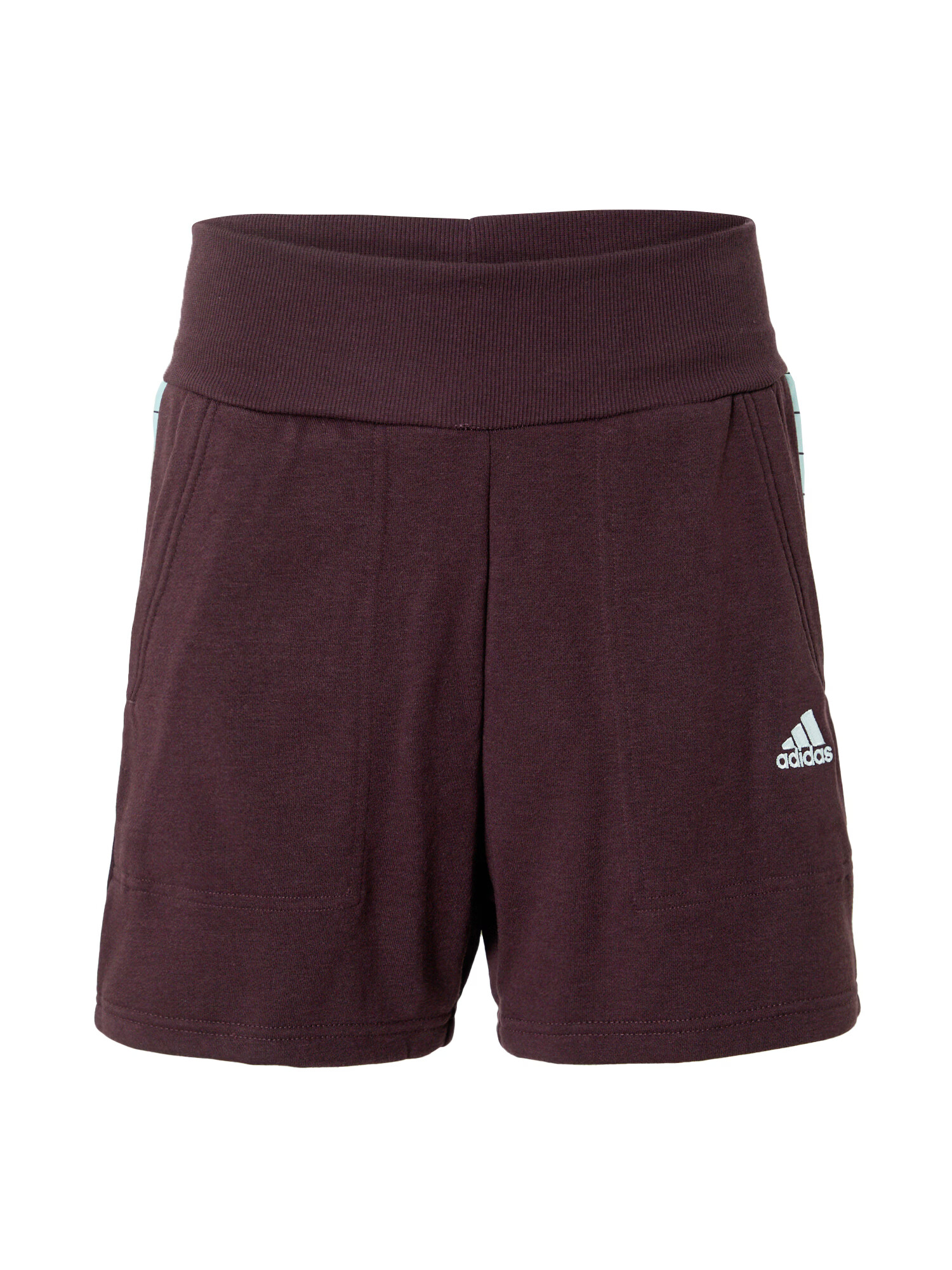 ADIDAS SPORTSWEAR Športové nohavice 'Tiro' svetlomodrá / burgundská / biela - Pepit.sk