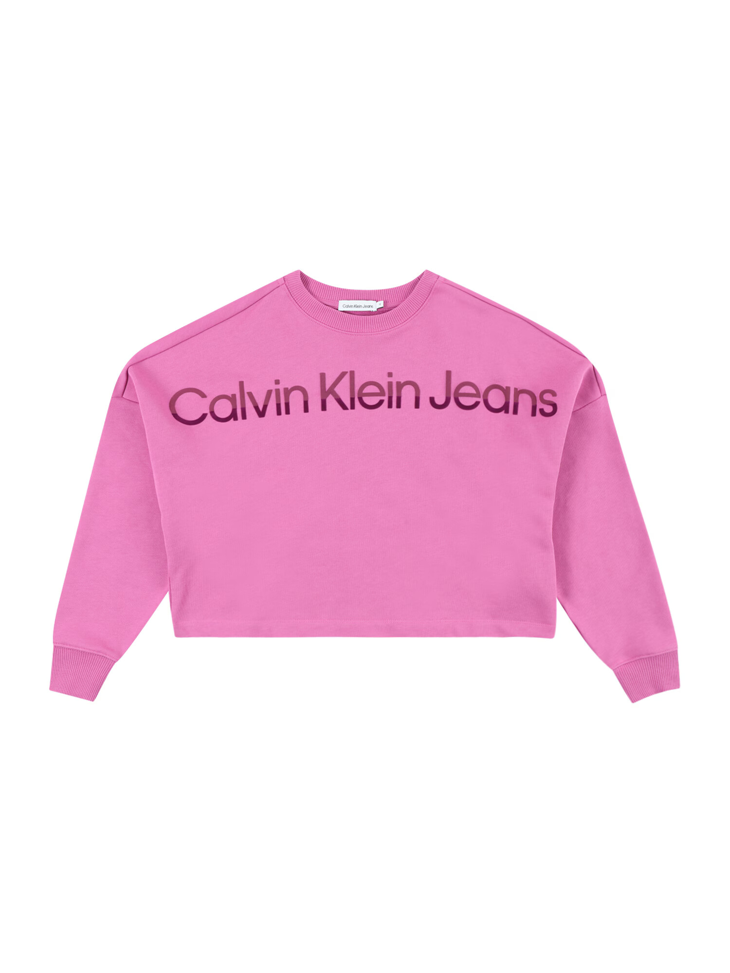 Calvin Klein Jeans Mikina 'HERO' orchideová / farba lesného ovocia - Pepit.sk