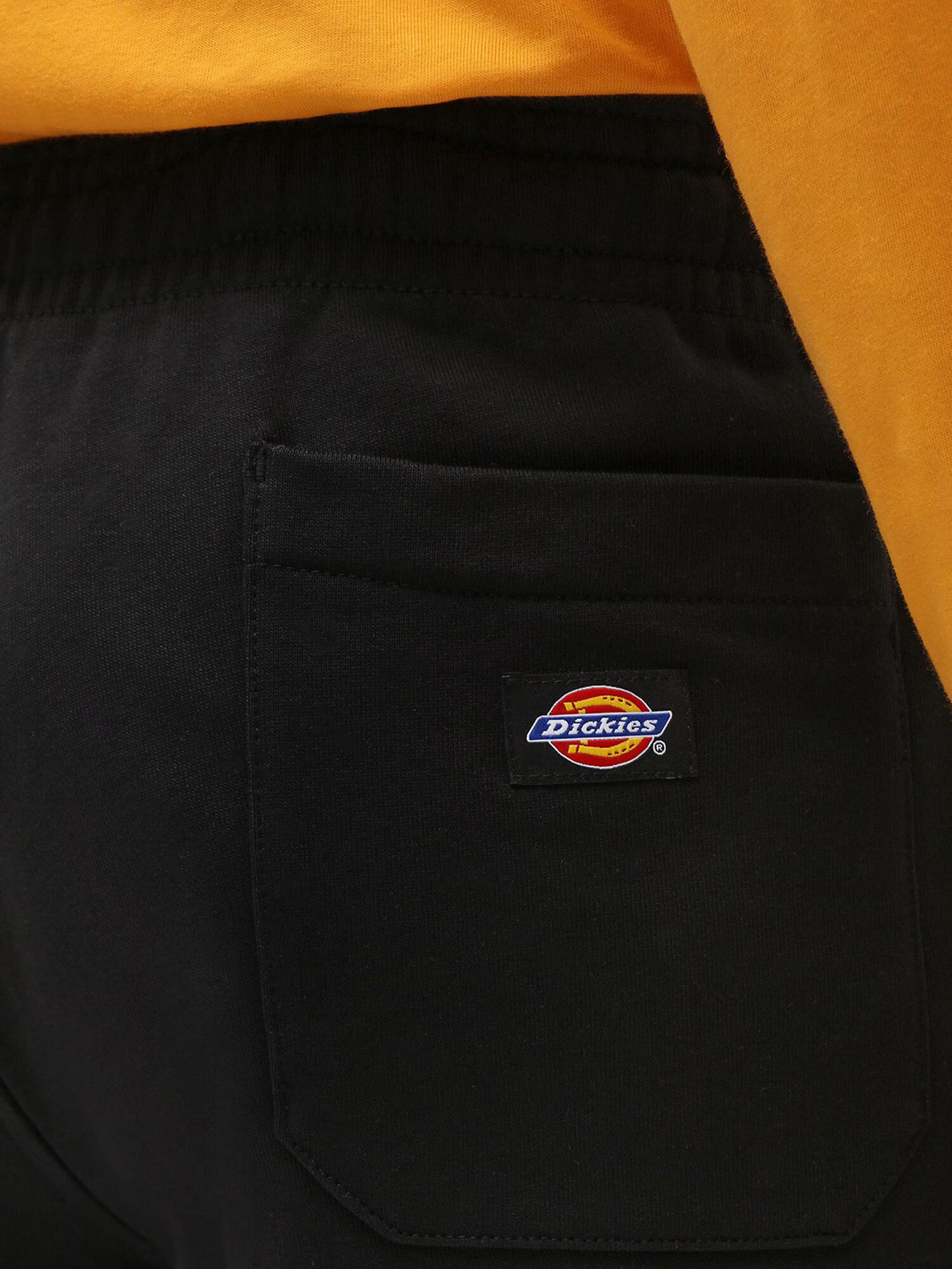 DICKIES Nohavice 'Champlin' čierna - Pepit.sk