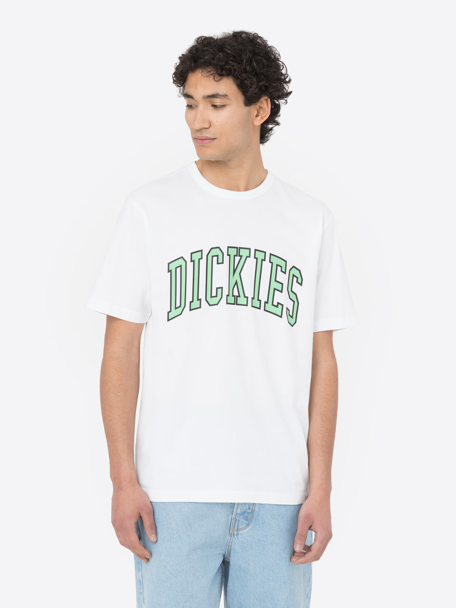 DICKIES Tričko 'Aitkin' svetlozelená / čierna / biela - Pepit.sk