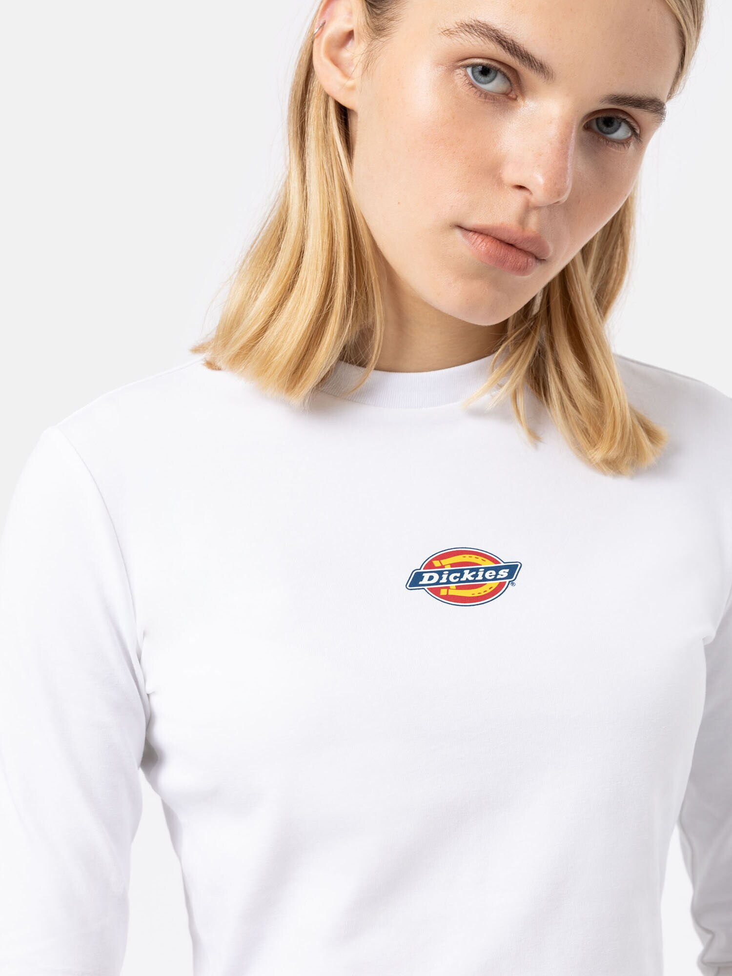 DICKIES Tričko 'MAPLE VALLEY' modrá / žltá / červená / biela - Pepit.sk